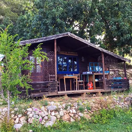 India Cabin En Casa Del Paso Alicante Buitenkant foto