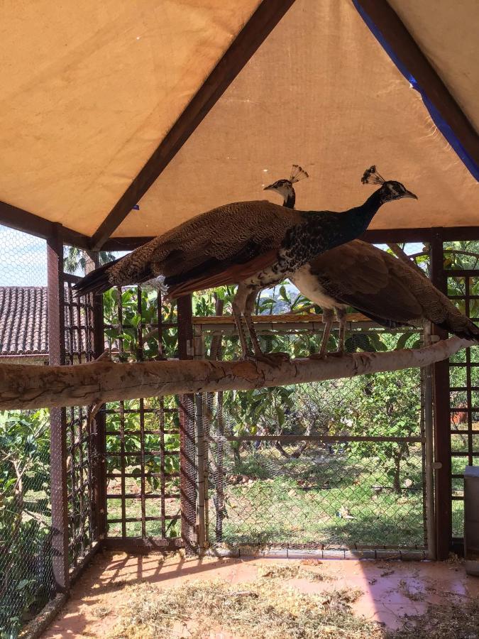 India Cabin En Casa Del Paso Domek alpejski