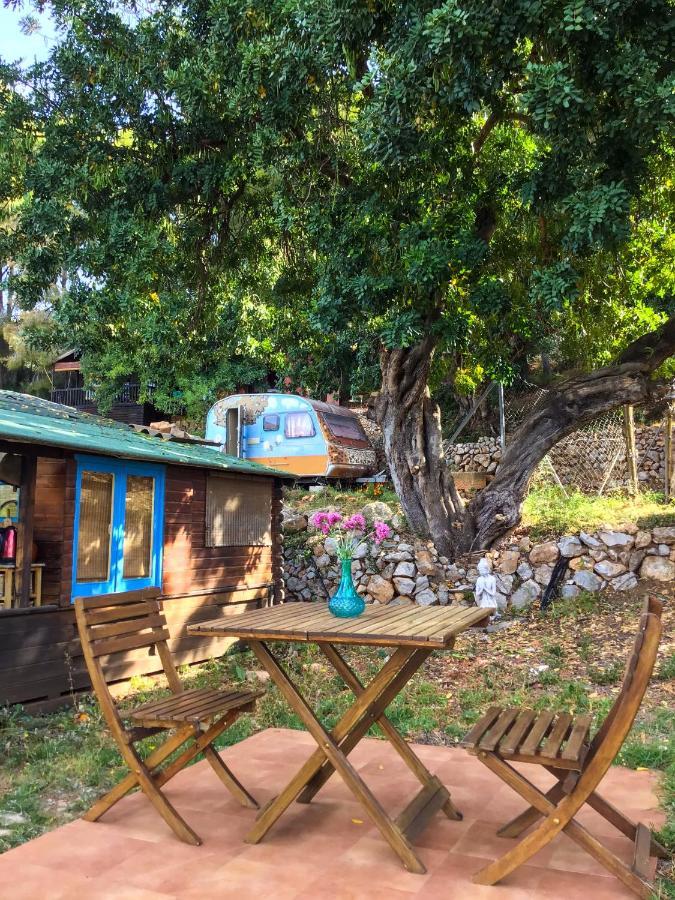 India Cabin En Casa Del Paso Domek alpejski Alicante